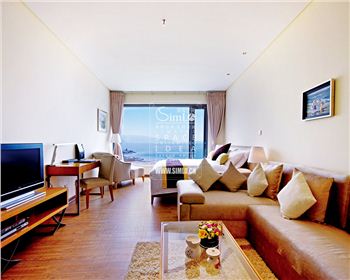 德陽板式酒店公寓家具SIMLO098