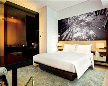 德陽板式酒店公寓家具SIMLO109